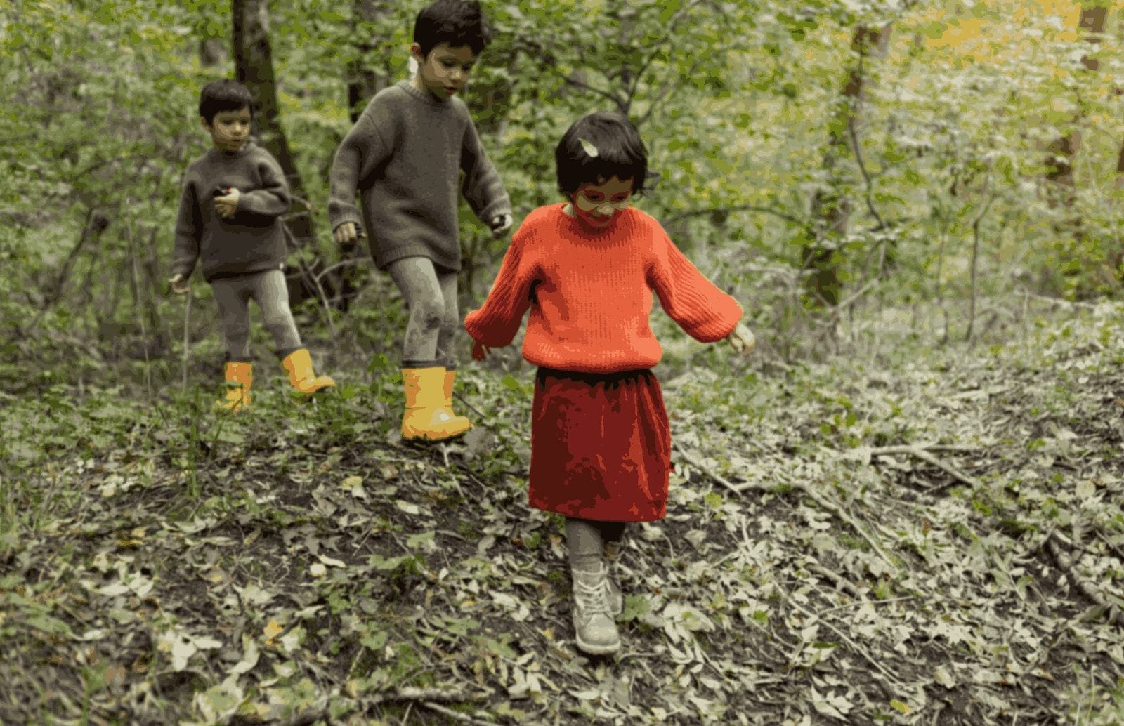 jpeg optimizer nature walk